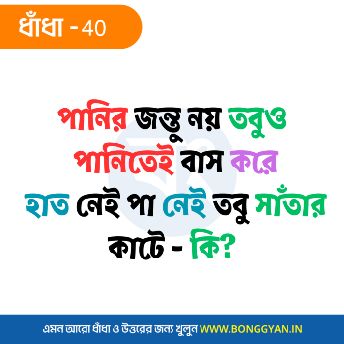 পানির জন্তু নয় তবুও পানিতেই বাস করে হাত নেই পা নেই তবু সাঁতার কাটে - কি?