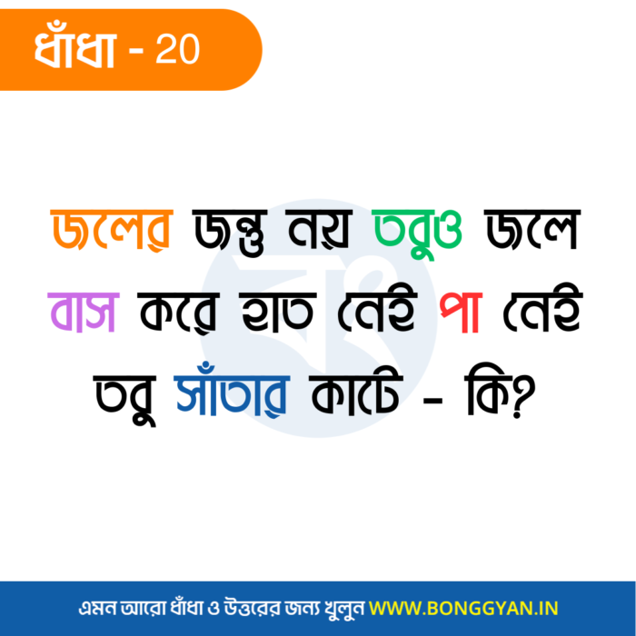 জলের জন্তু নয় তবুও জলে বাস করে হাত নেই পা নেই তবু সাঁতার কাটে - কি?