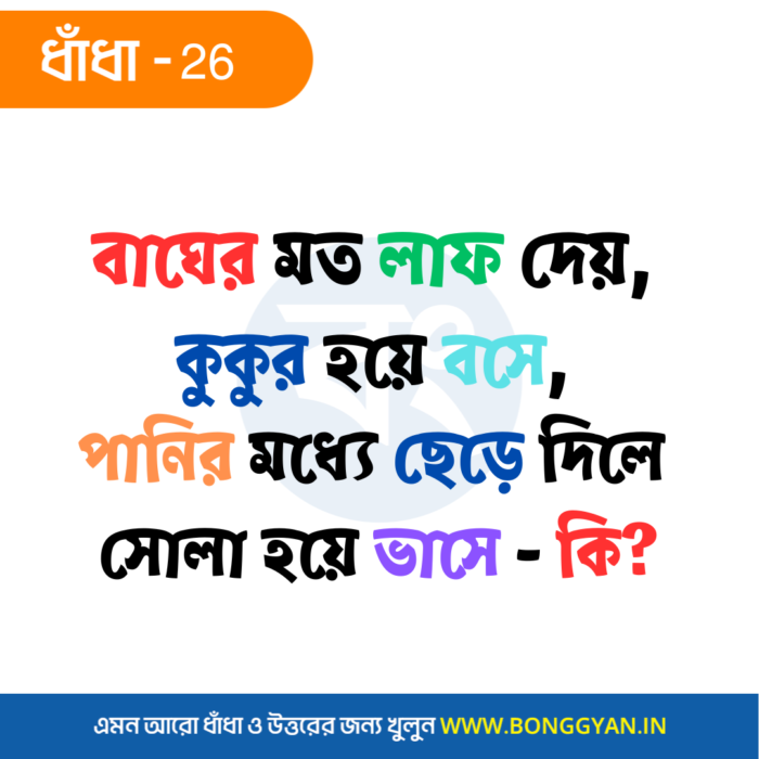 বাঘের মত লাফ দেয়, কুকুর হয়ে বসে, পানির মধ্যে ছেড়ে দিলে সোলা হয়ে ভাসে - কি?