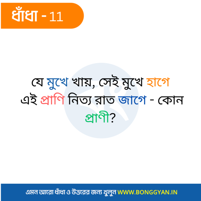 যে মুখে খায়, সেই মুখে হাগে এই প্রাণি নিত্য রাত জাগে - কোন প্রাণী?