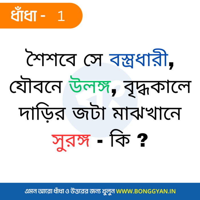 শৈশবে সে বস্ত্রধারী, যৌবনে উলঙ্গ, বৃদ্ধকালে দাড়ির জটা মাঝখানে সুরঙ্গ - কি?