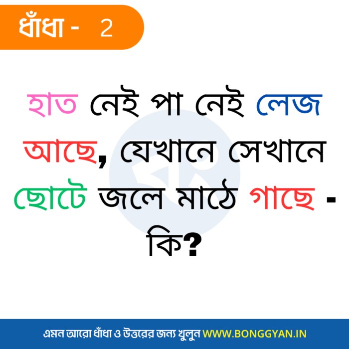 হাত নেই পা নেই লেজ আছে, যেখানে সেখানে ছোটে জলে মাঠে গাছে - কি?