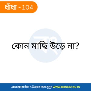 কোন মাছি উড়ে না?