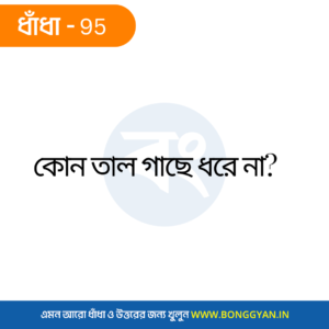 কোন তাল গাছে ধরে না?