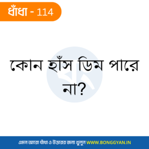 কোন হাঁস ডিম পারে না?