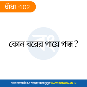 কোন বরের গায়ে গন্ধ?