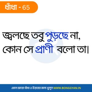 জ্বলছে তবু পুড়ছে না, কোন সে প্রাণী বলো তা।