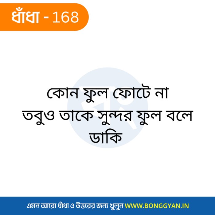 কোন ফুল ফোটে না তবুও তাকে সুন্দর ফুল বলে ডাকি