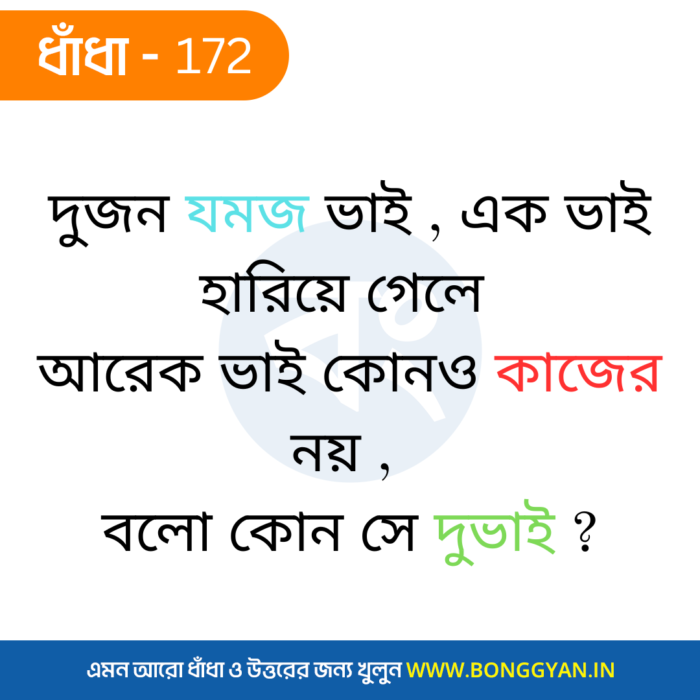 দুজন যমজ ভাই , এক ভাই হারিয়ে গেলে আরেক ভাই কোনও কাজের নয় , বলো কোন সে দুভাই ?