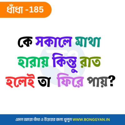 কে সকালে মাথা হারায় কিন্তু রাত হলেই তা ফিরে পায়?